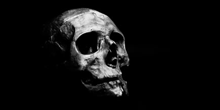 skull